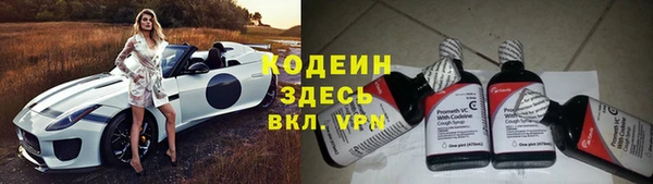 сатива Кулебаки