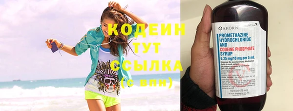 сатива Кулебаки