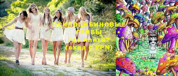 сатива Кулебаки