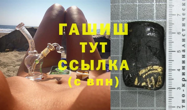 сатива Кулебаки