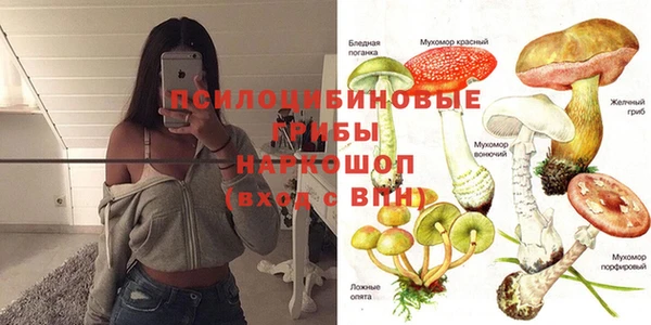 2c-b Куйбышев