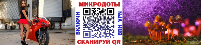 Галлюциногенные грибы мицелий Евпатория